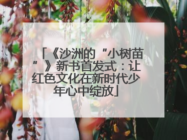《沙洲的“小树苗”》新书首发式：让红色文化在新时代少年心中绽放