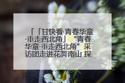 「甘快看·青春华章·重走西北角」“青春华章·重走西北角”采访团走进花舞南山 探寻天水乡村振兴之路