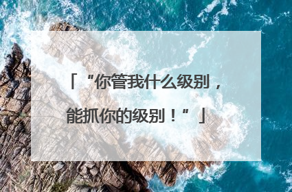 “你管我什么级别，能抓你的级别！”