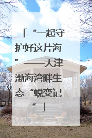 “一起守护好这片海”——天津渤海湾畔生态“蜕变记”