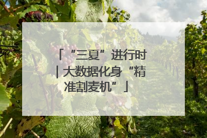 “三夏”进行时｜大数据化身“精准割麦机”