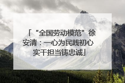 “全国劳动模范”徐安清：一心为民践初心 实干担当铸忠诚