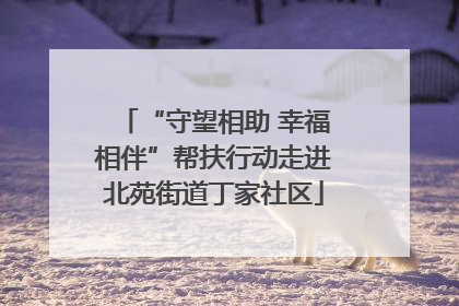 “守望相助 幸福相伴”帮扶行动走进北苑街道丁家社区