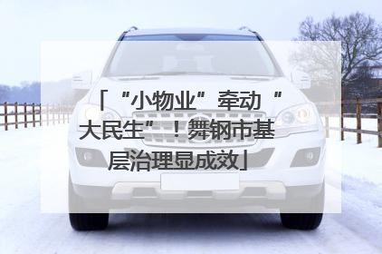 “小物业”牵动“大民生”！舞钢市基层治理显成效