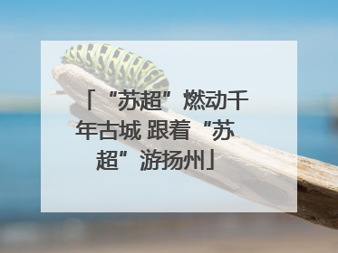 “苏超”燃动千年古城 跟着“苏超”游扬州