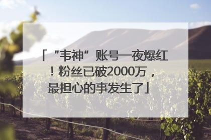 “韦神”账号一夜爆红！粉丝已破2000万，最担心的事发生了