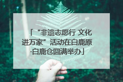 “非遗志愿行 文化进万家”活动在白鹿原·白鹿仓圆满举办