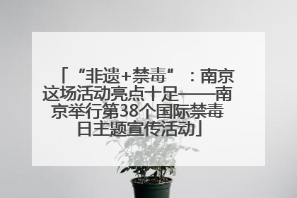 “非遗+禁毒”：南京这场活动亮点十足——南京举行第38个国际禁毒日主题宣传活动