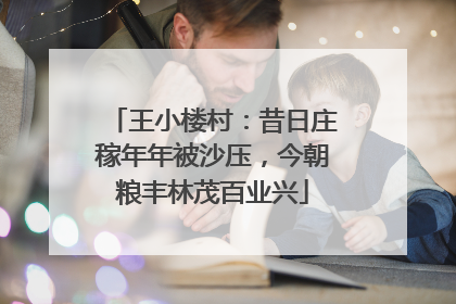 王小楼村：昔日庄稼年年被沙压，今朝粮丰林茂百业兴