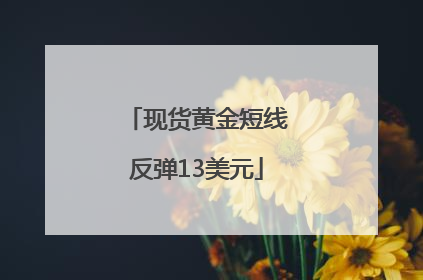 现货黄金短线反弹13美元