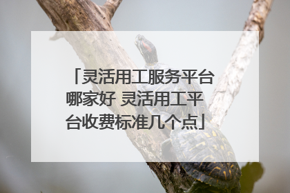灵活用工服务平台哪家好 灵活用工平台收费标准几个点