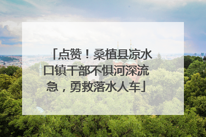 点赞！桑植县凉水口镇干部不惧河深流急，勇救落水人车