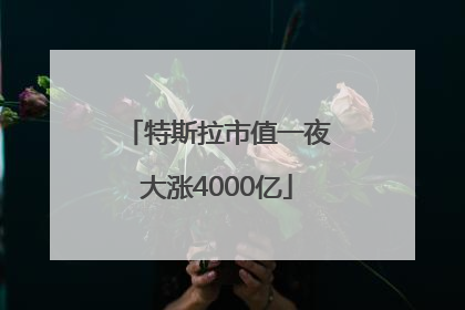 特斯拉市值一夜大涨4000亿