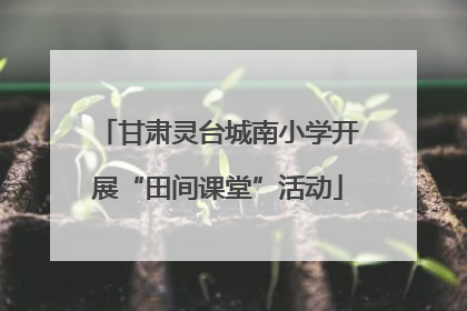 甘肃灵台城南小学开展“田间课堂”活动