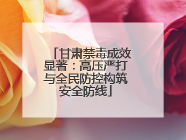 甘肃禁毒成效显著：高压严打与全民防控构筑安全防线