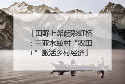田野上架起彩虹桥：三亚水蛟村“农田+”激活乡村经济