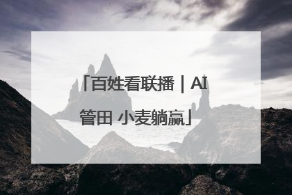 百姓看联播｜AI管田 小麦躺赢
