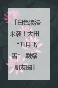 白色浪漫来袭！大田 “五月飞雪” 刷爆朋友圈