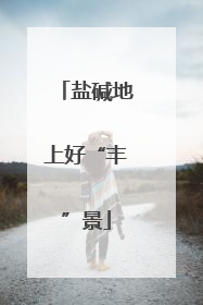 盐碱地上好“丰”景