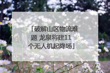 破解山区物流难题 龙泉将建11个无人机起降场