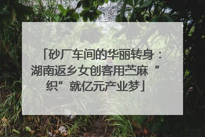 砂厂车间的华丽转身：湖南返乡女创客用苎麻“织”就亿元产业梦