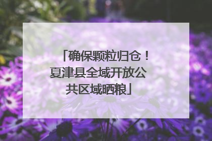 确保颗粒归仓！夏津县全域开放公共区域晒粮