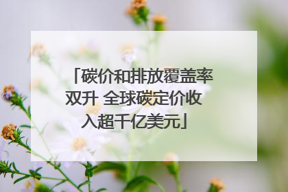 碳价和排放覆盖率双升 全球碳定价收入超千亿美元
