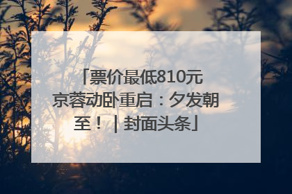 票价最低810元 京蓉动卧重启：夕发朝至！｜封面头条