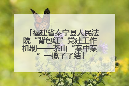 福建省泰宁县人民法院“背包红”党建工作机制——茶山“案中案”一揽子了结