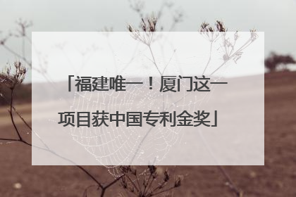 福建唯一！厦门这一项目获中国专利金奖