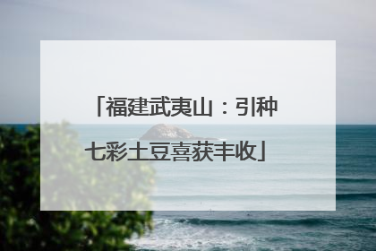 福建武夷山：引种七彩土豆喜获丰收