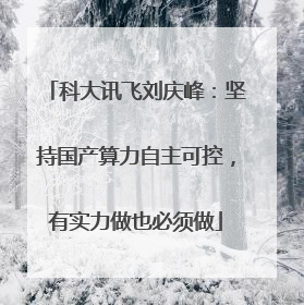 科大讯飞刘庆峰：坚持国产算力自主可控，有实力做也必须做