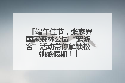 端午佳节，张家界国家森林公园“宠游客”活动带你解锁松弛感假期！