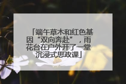 端午草木和红色基因“双向奔赴”，雨花台在户外开了一堂沉浸式思政课
