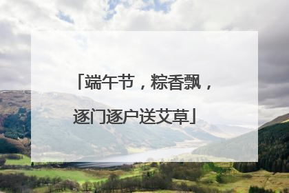端午节，粽香飘，逐门逐户送艾草