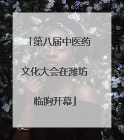 第八届中医药文化大会在潍坊临朐开幕