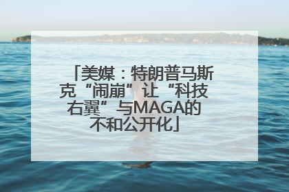 美媒：特朗普马斯克“闹崩”让“科技右翼”与MAGA的不和公开化