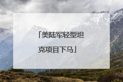 美陆军轻型坦克项目下马