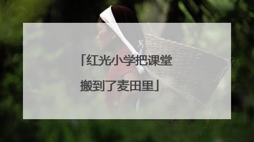 红光小学把课堂搬到了麦田里