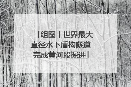 组图丨世界最大直径水下盾构隧道完成黄河段掘进