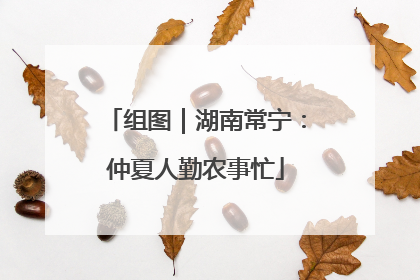 组图｜湖南常宁：仲夏人勤农事忙