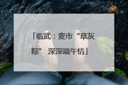 临武：麦市“草灰粽” 深深端午情