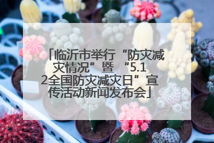 临沂市举行“防灾减灾情况”暨 “5.12全国防灾减灾日”宣传活动新闻发布会
