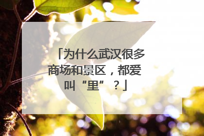 为什么武汉很多商场和景区，都爱叫“里”？