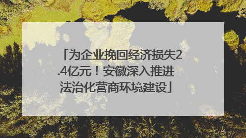 为企业挽回经济损失2.4亿元！安徽深入推进法治化营商环境建设