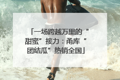 一场跨越万里的“甜蜜”接力：甬库“团结瓜”热销全国