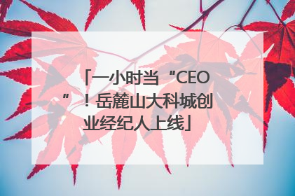 一小时当“CEO”！岳麓山大科城创业经纪人上线