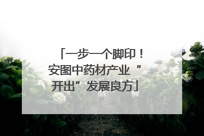 一步一个脚印！安图中药材产业“开出”发展良方