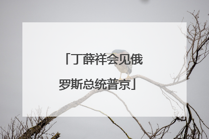 丁薛祥会见俄罗斯总统普京