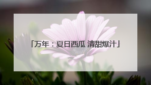 万年：夏日西瓜 清甜爆汁